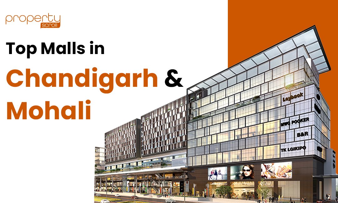 new mall in mohali, VR Punjab, cp67 mall, Bestech Square Mall, seawoods grand central mall, central plaza mall, Elante Mall, jubilee walk mohali, Paras Downtown Square Mall, downtown mall, central plaza mall, dlf city centre mall, pvr vr punjab mall mohali, it mall chandigarh, tdi mall, dhillon plaza,