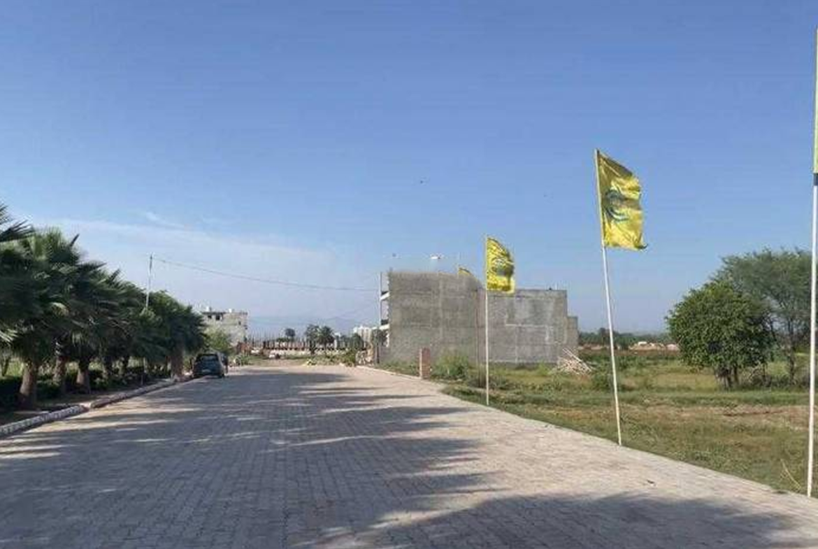 Signature City Plots