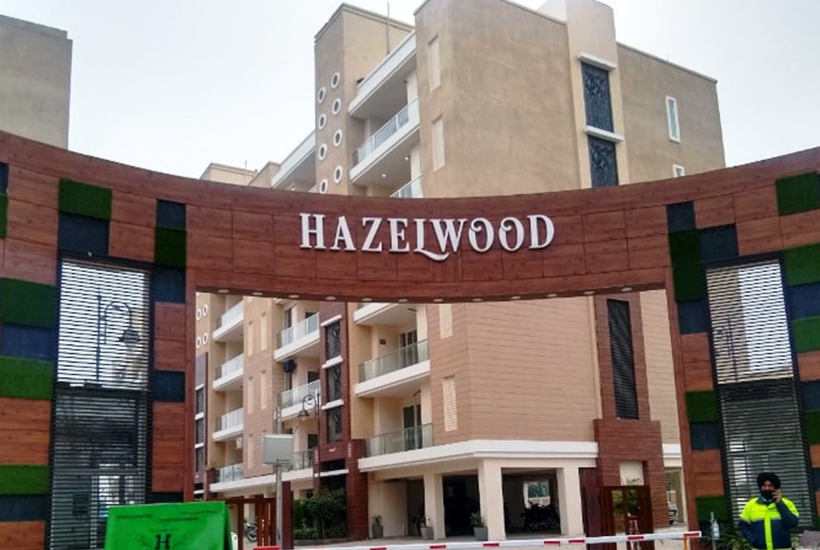 Hazelwood