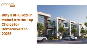 3 BHK Flats in Mohali
